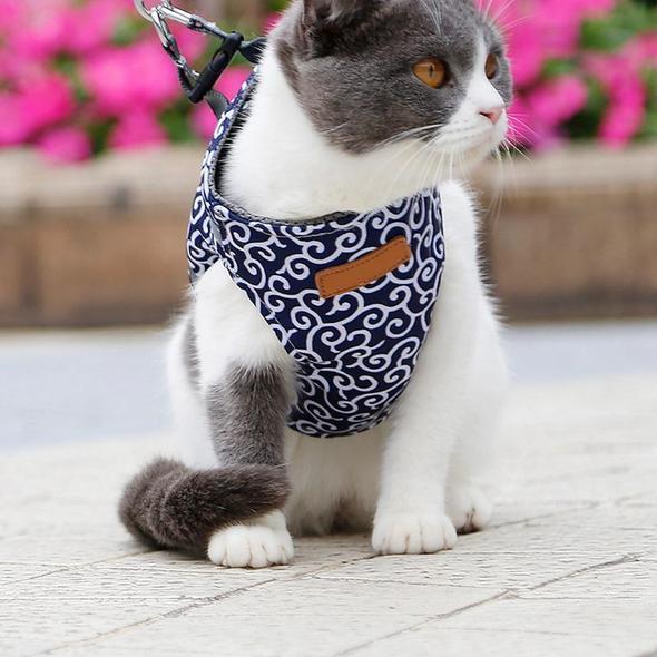 Cat Vest Harness and Leash Set to Outdoor Walking